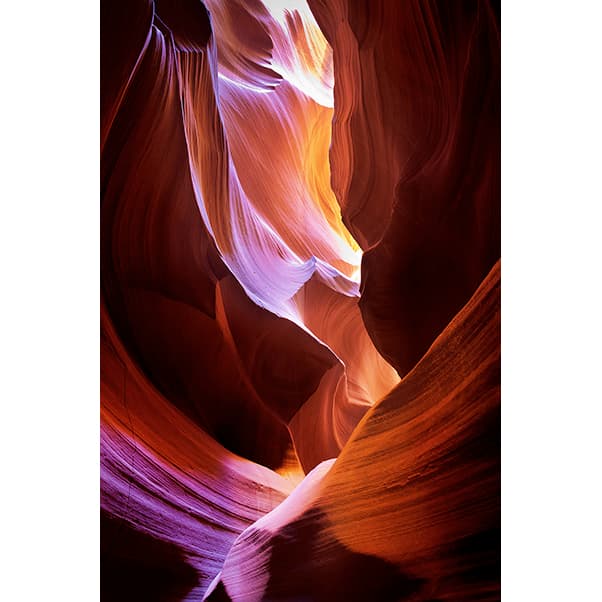 Sacred Light